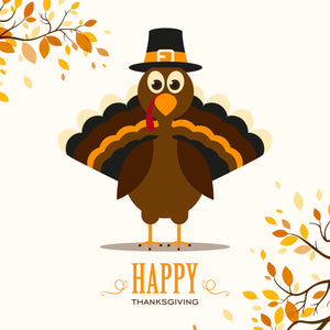 Happy Thanksgiving from AC Connectors