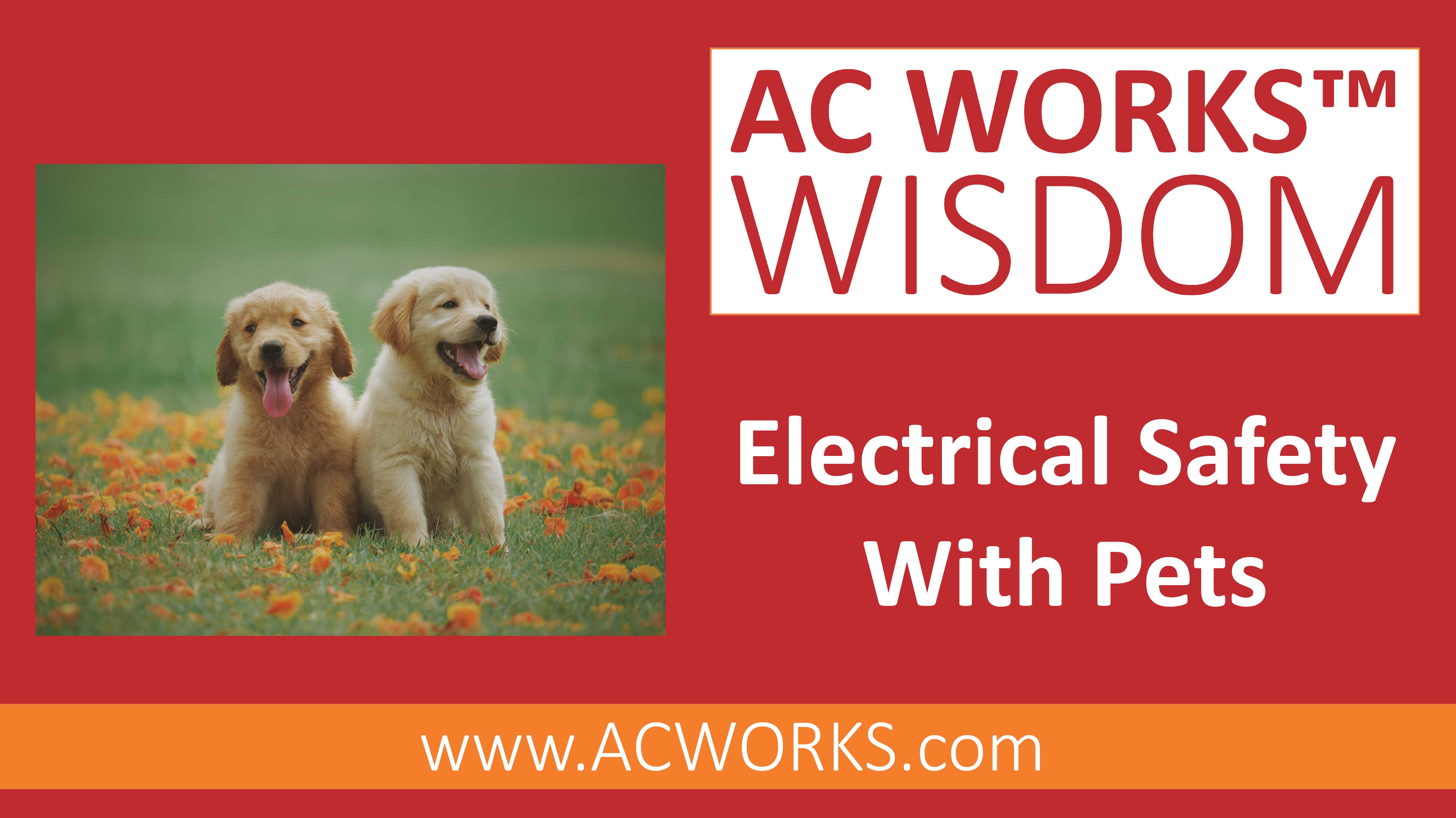 AC WORKS® Wisdom: Electrical Safety with Pets