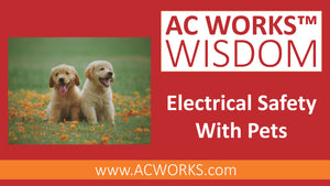 AC WORKS® Wisdom: Electrical Safety with Pets