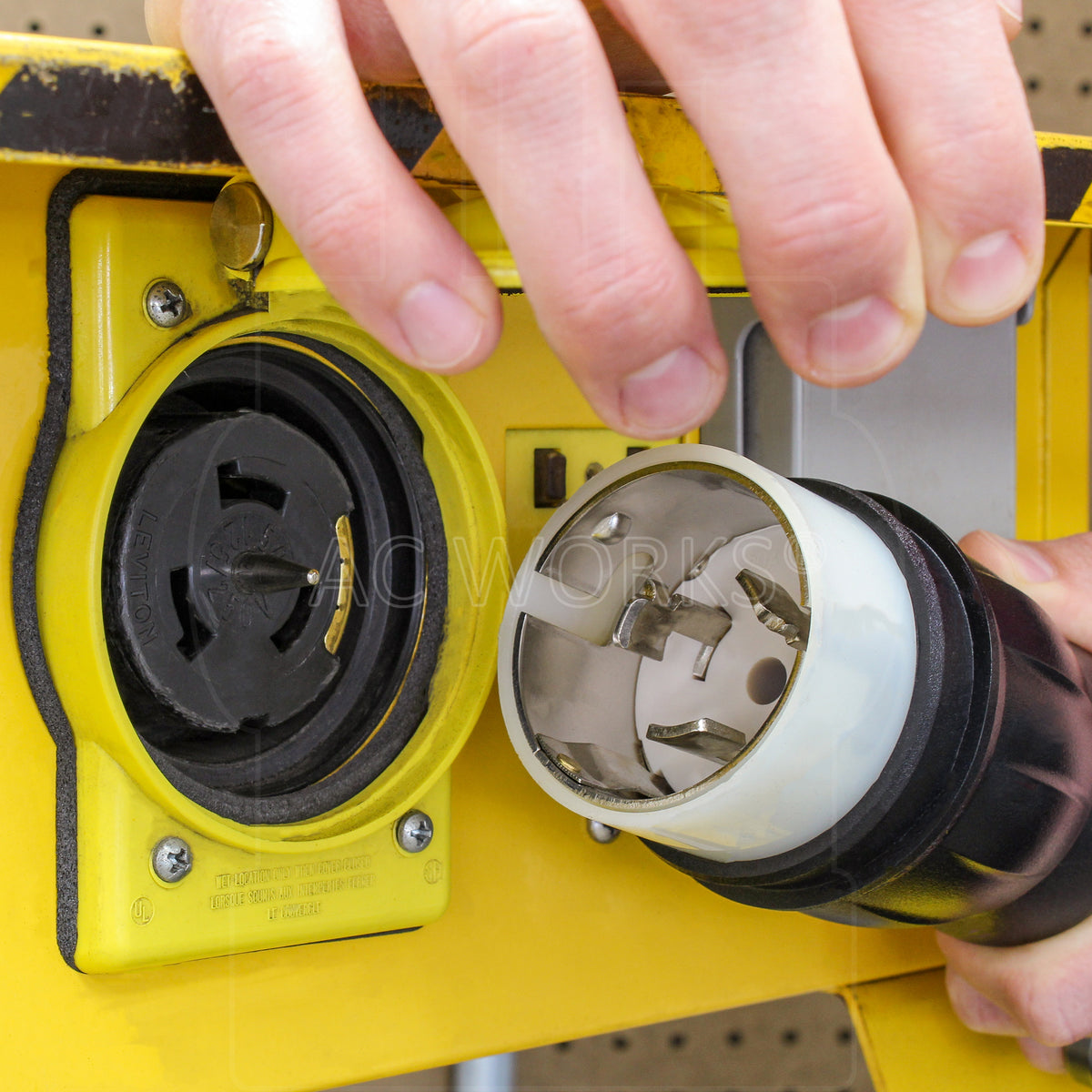 application with spider box
