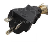 AC WORKS® [S620W620-010] 10FT SJTW 12/3 NEMA 6-20 20A 250V Plug to Lighted 15/20A 250V Multi-Outlets
